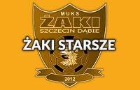 BAŁTYK CUP 2017 - 4-DNIOWY TURNIEJ ROCZNIKA 2008/2009